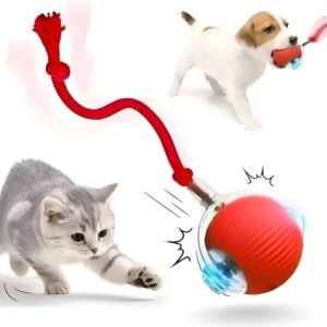 Bolinha Pet Premium Inteligente