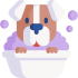 dog.png dog.png